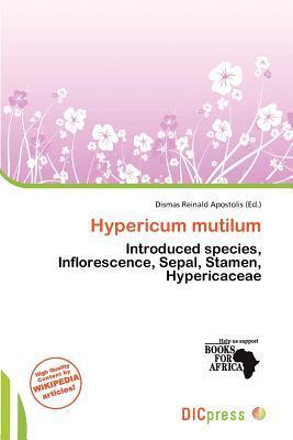 Hypericum mutilum