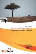 Acacia Concurrens