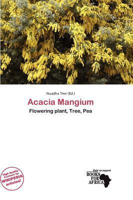 Acacia Mangium