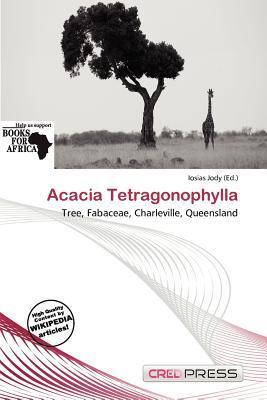 Acacia Tetragonophylla
