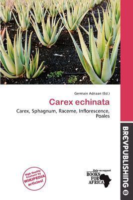 Carex echinata