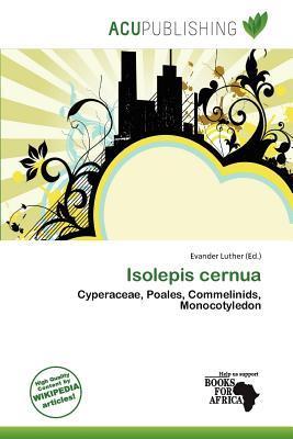 Isolepis cernua