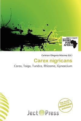 Carex nigricans