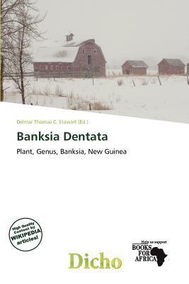 Banksia Dentata