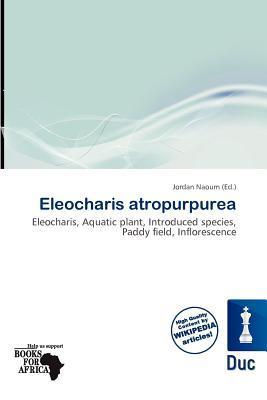 Eleocharis atropurpurea