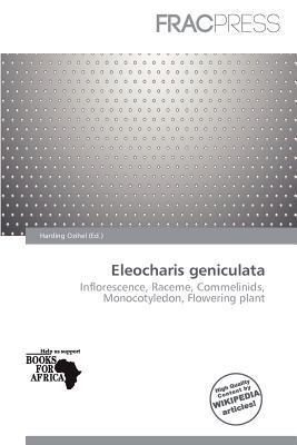 Eleocharis geniculata