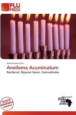 Aneilema Acuminatum