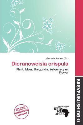 Dicranoweisia crispula