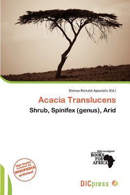 Acacia Translucens