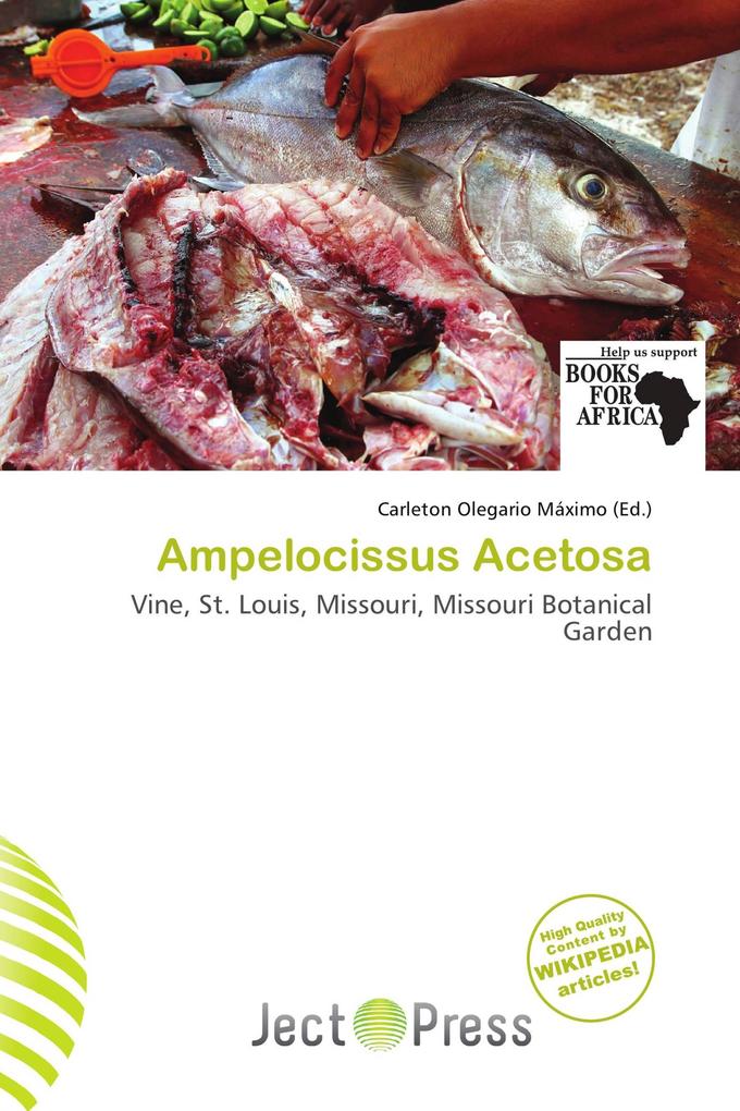Ampelocissus Acetosa