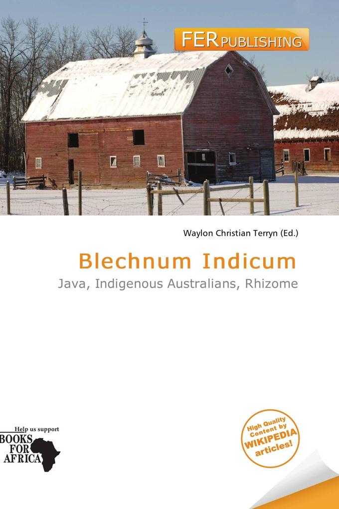 Blechnum Indicum