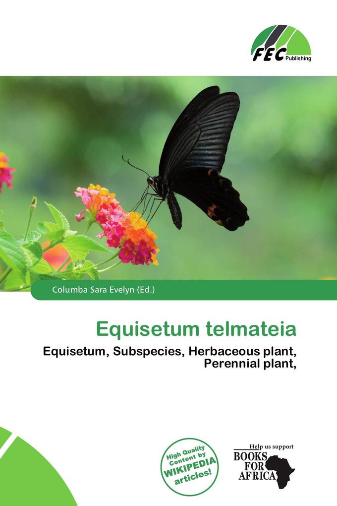 Equisetum telmateia