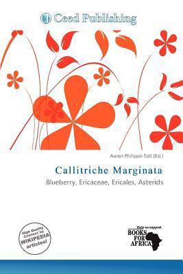 Callitriche Marginata