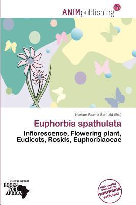 Euphorbia spathulata