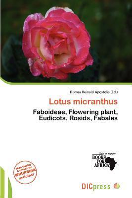 Lotus micranthus