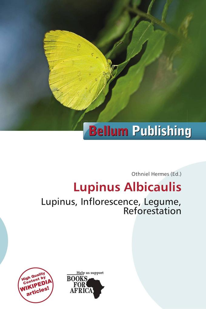Lupinus Albicaulis