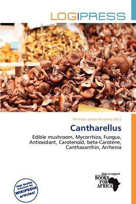 Cantharellus