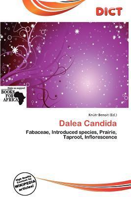 Dalea Candida