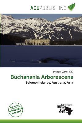 Buchanania Arborescens