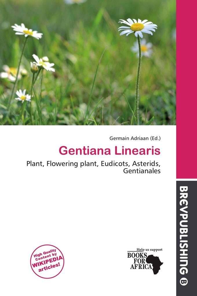 Gentiana Linearis