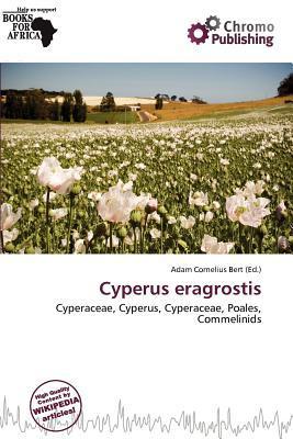 Cyperus eragrostis