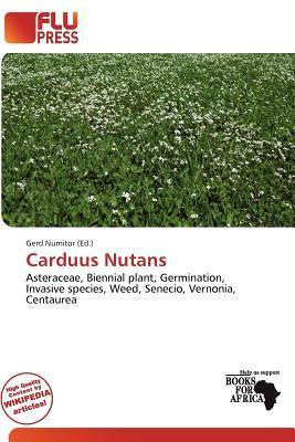 Carduus Nutans
