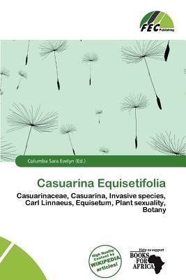 Casuarina Equisetifolia
