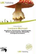 Lonicera Morrowii