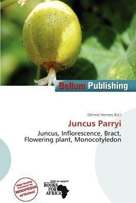 Juncus Parryi