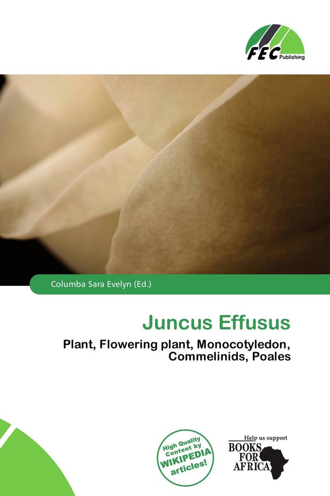 Juncus Effusus