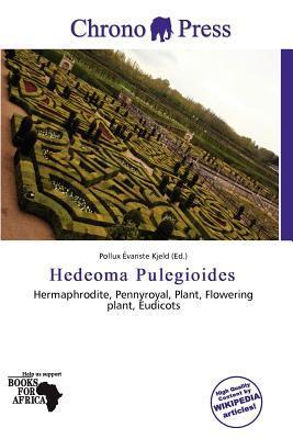 Hedeoma Pulegioides