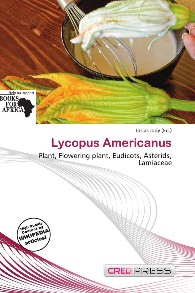 Lycopus Americanus