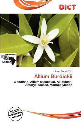 Allium Burdickii
