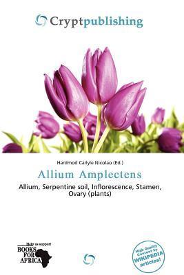 Allium Amplectens