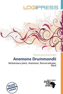 Anemone Drummondii