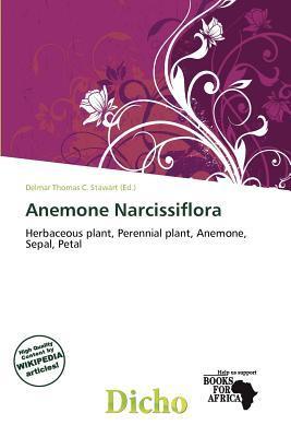 Anemone Narcissiflora