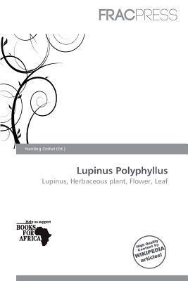 Lupinus Polyphyllus