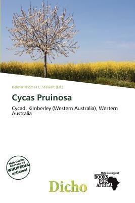 Cycas Pruinosa
