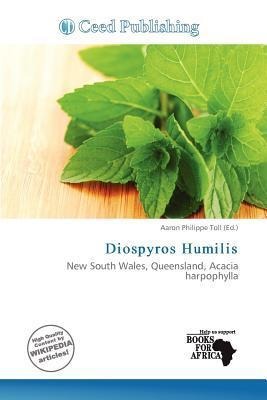 Diospyros Humilis