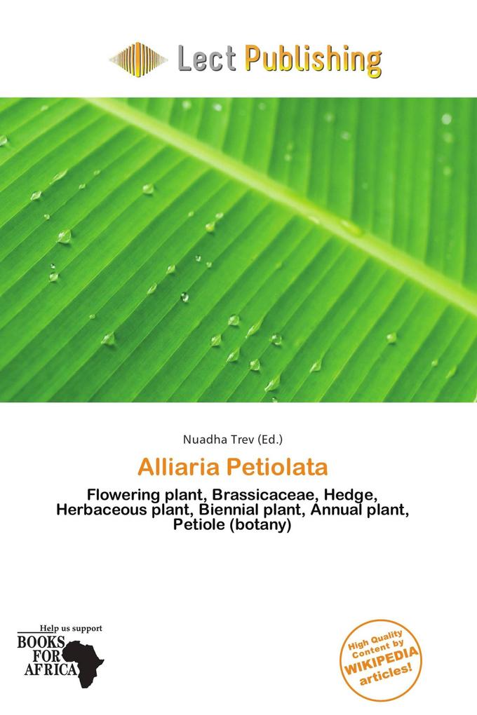 Alliaria Petiolata