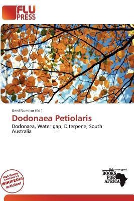 Dodonaea Petiolaris