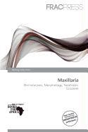 Maxillaria