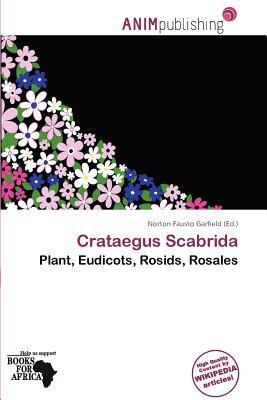 Crataegus Scabrida
