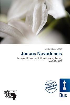 Juncus Nevadensis