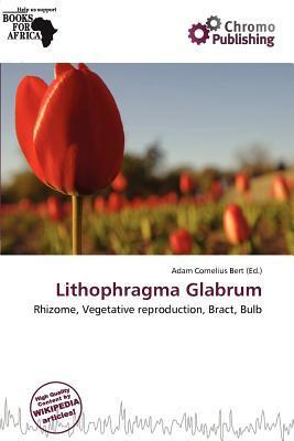 Lithophragma Glabrum