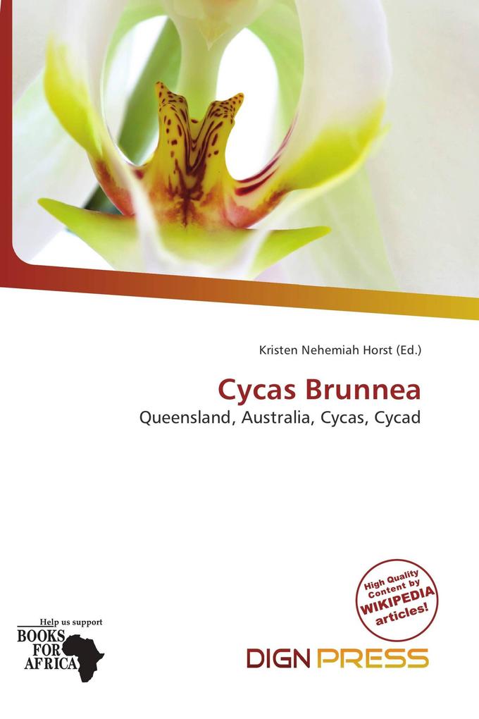 Cycas Brunnea