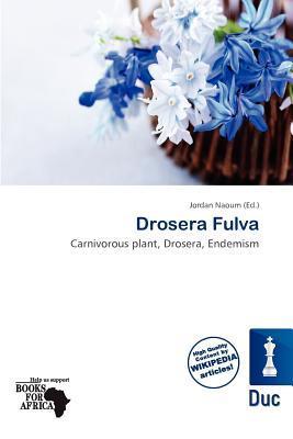 Drosera Fulva