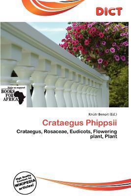Crataegus Phippsii