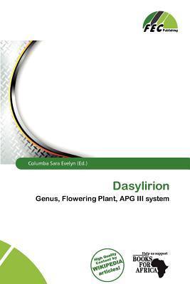 Dasylirion
