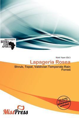 Lapageria Rosea